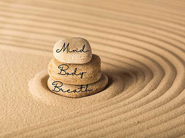The Triad of Mindfulness